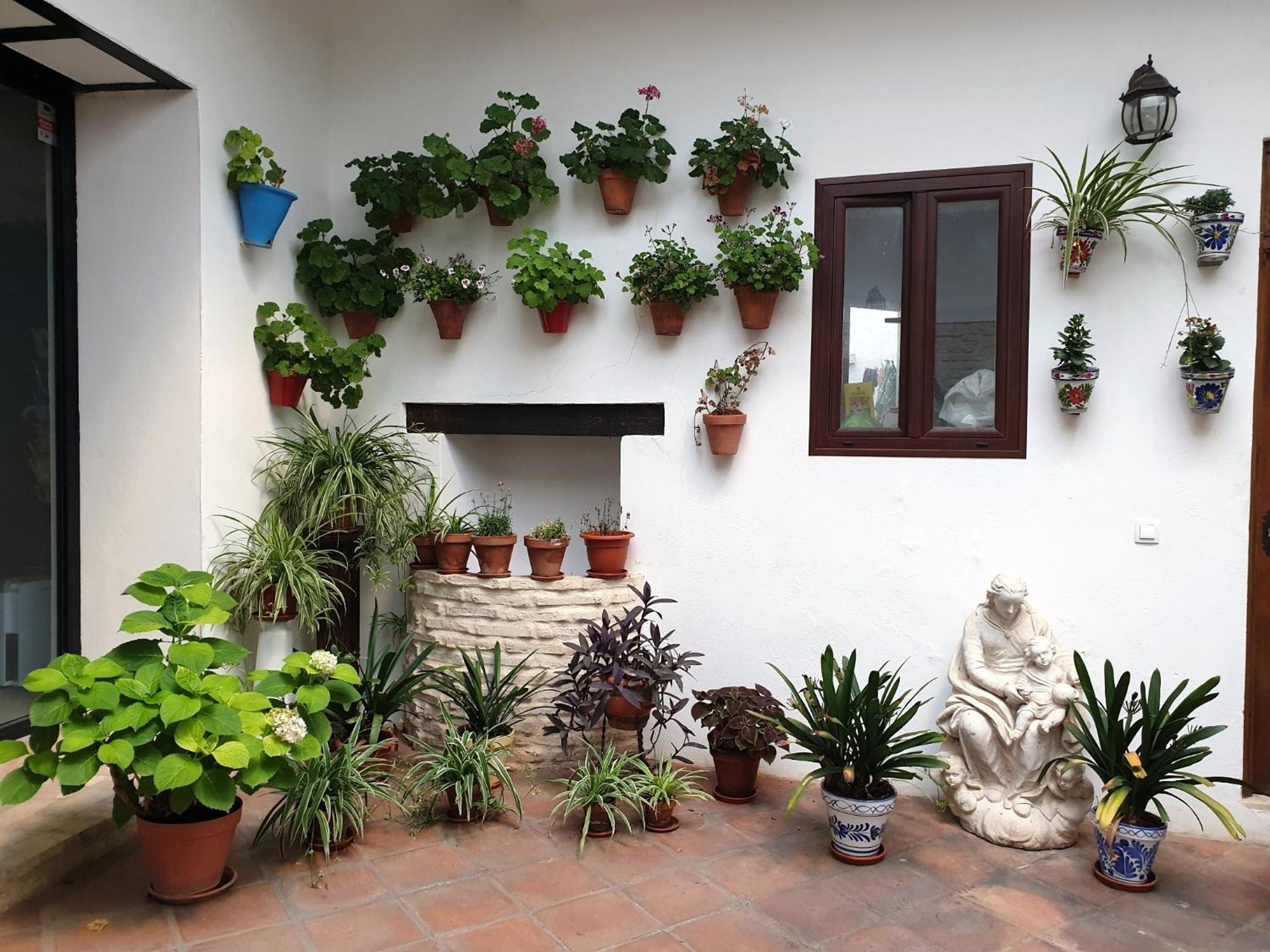Entre Patios Y Flores Cordova Esterno foto